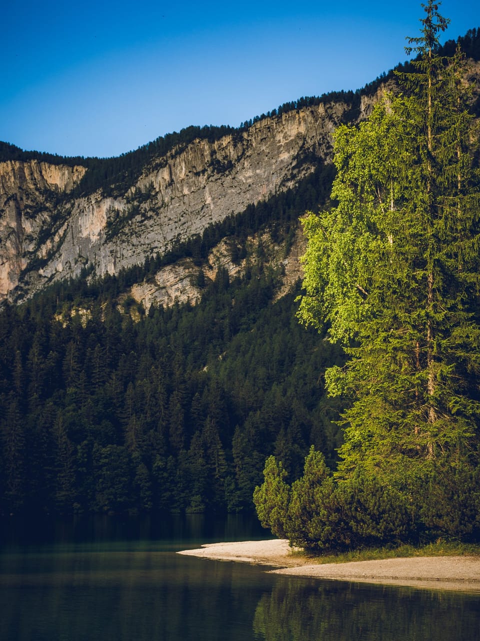 A calm lake below forested hills